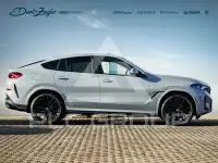 2025 BMW X6