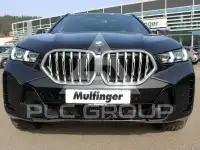 2025 BMW X6