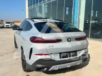 2025 BMW X6