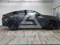 2025 BMW X6