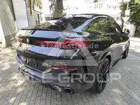 2025 BMW X6
