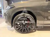 2025 BMW X6