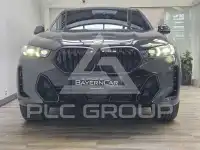 2025 BMW X6