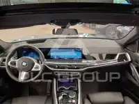 2025 BMW X6