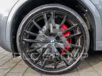2025 BMW X6
