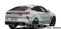 2025 BMW X6