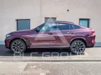 2025 BMW X6