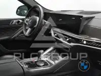 2025 BMW X6