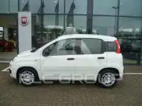 2025 Fiat Panda