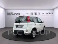 2025 Fiat Panda
