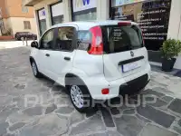 2025 Fiat Panda