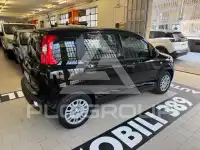 2025 Fiat Panda