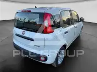 2025 Fiat Panda