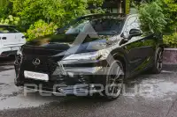 2025 Lexus RX