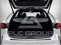 2025 Lexus RX