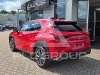 2025 Lexus UX