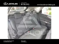 2025 Lexus NX250
