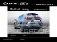 2025 Lexus NX250