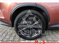 2025 Lexus NX250