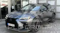 2025 Lexus NX250