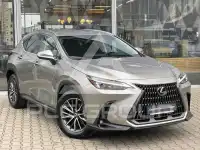 2025 Lexus NX250