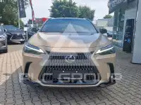 2025 Lexus NX250