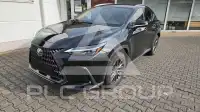 2025 Lexus NX250