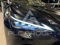 2025 Lexus NX250
