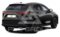 2025 Lexus NX250