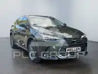 2025 Lexus NX450