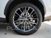 2025 Lexus NX450