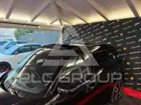 2025 Mini Unknown