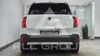 2025 Mini Unknown