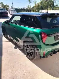 2025 Mini Unknown