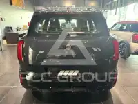 2025 Mini Unknown