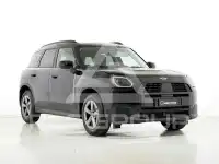 2025 Mini Unknown