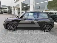 2025 Mini Unknown