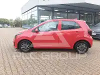 2025 KIA Picanto