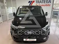 2025 Ford Tourneo