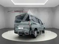 2025 Ford Tourneo