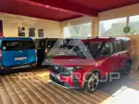 2025 Ford Tourneo