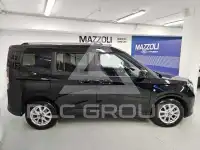 2025 Ford Tourneo