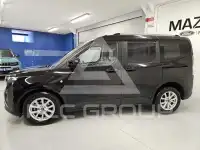 2025 Ford Tourneo