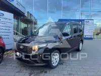2025 Ford Tourneo