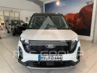 2025 Ford Tourneo