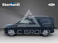 2025 Ford Tourneo