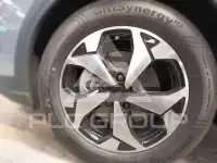 2025 Ford Tourneo