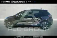 2025 Renault Clio
