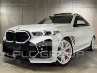 2026 BMW X6