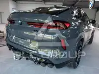 2026 BMW X6